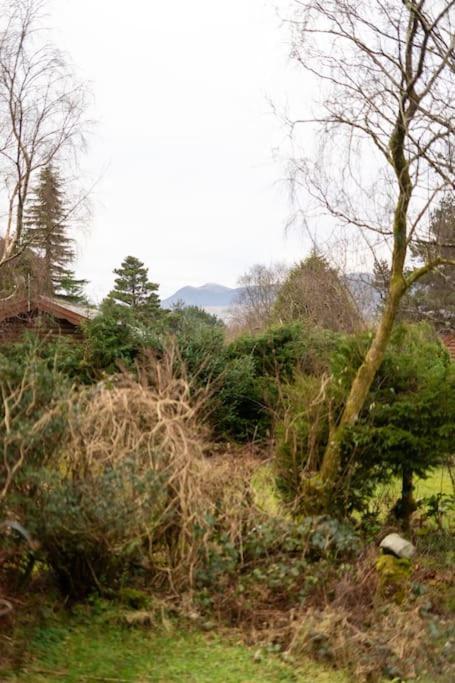 Cozy Norwegian Style Log Cabin In Rural Snowdonia - 2 Bedrooms & Parking By Seren Short Stays Ffestiniog Exterior photo